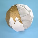 3D Scratch Globe (GREAT CHRISTMAS GIFT!!)