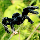Halloween Big Black Furry Spider