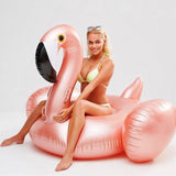 Giant Inflatable Flamingo