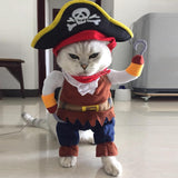 Pirate Pet Halloween Costume