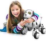 iFido - Chien Robot Intelligent
