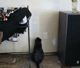 Mouse LED Pointer light Pen